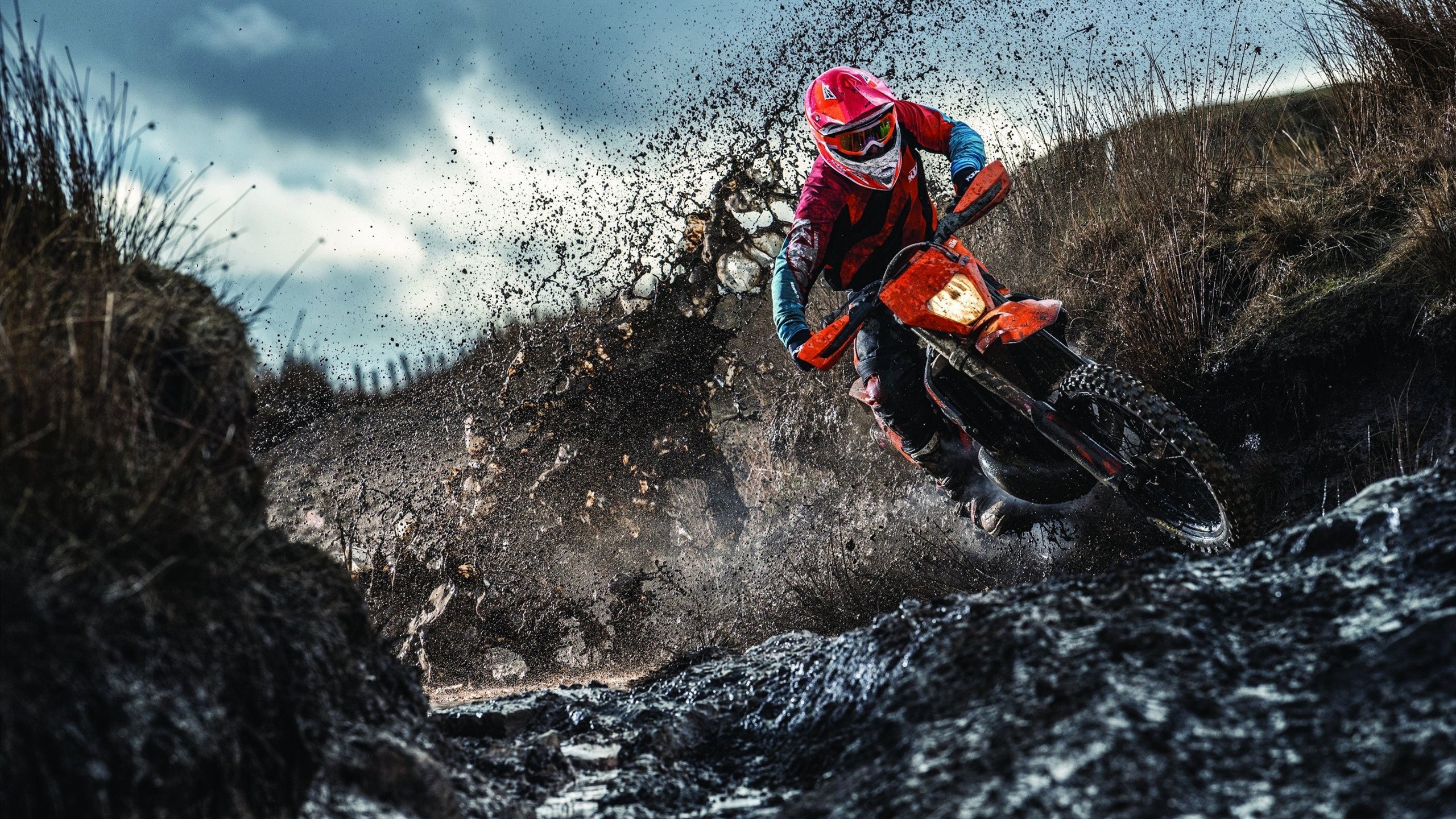 德国队引发争议！，德约科维奇官方宣布晋级下一阶段新规全场沸腾不已